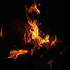 Avatar de noslehcimretep
