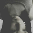 Dendy_On için avatar