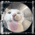 Avatar für comp4ctdisc