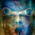 Avatar for fokstrot