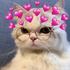 Avatar for dustyyyyyy
