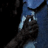 Avatar for leyxcx