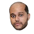 Avatar for fuckstephcurry