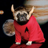 Avatar di touchthepug