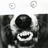 Avatar for smurfuck
