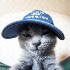 Avatar di awpaw