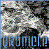 Qronicle 的头像