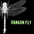 Avatar för Dragon Fly