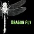 Avatar for Dragon Fly