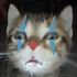 Avatar for manovinisin