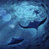 Avatar for waterlilylips