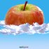 Applejuice 的头像