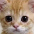 Avatar for mmvniz