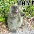 Avatar for swayedlullaby