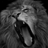 Аватар для LionSimbaking