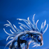 Avatar de miguel89