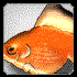 Avatar für mr94