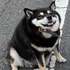 Avatar for EuphoricDonut