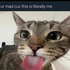 Avatar for awwcmondawg