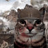Avatar for tonycatt0