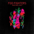 foofightersnirv için avatar