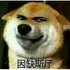 Awatar dla shibe_