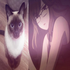 Avatar di catirl