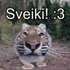Avatar for K4aiixc