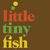 little_tinyfish 的头像