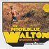 Аватар для The Psychedelic Waltons feat. Róisín Murphy