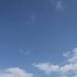 State Bird 的头像