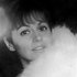 Avatar de Marlene VerPlanck