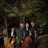 Yo-Yo Ma, Stuart Duncan, Edgar Meyer & Chris Thile 的头像