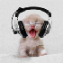 Avatar for ewelaaa123