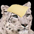 Avatar for RI0TPANDA