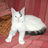 Avatar di Estranged_Gog
