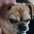 ixuwu さんのアバター