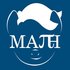MathematicPony 的头像