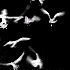 Avatar for osk4