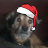Avatar for ActixWeiird