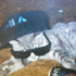 Avatar for Sem6881