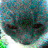 dawgama için avatar