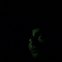 Avatar for aramrajabi