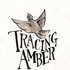 Аватар для Tracing_Amber