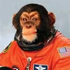 Avatar for spacemonkey2000