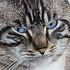 Avatar for natee-pos