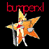 bumperxl さんのアバター