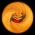 Avatar for camsta_