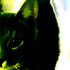 Avatar for yonbon47