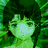 Avatar di mrkz0d